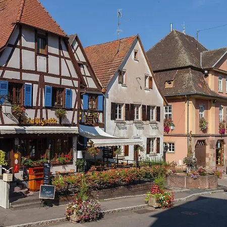 In Alsace Near Haut-koenigsbourg Apartment Dambach-la-Ville