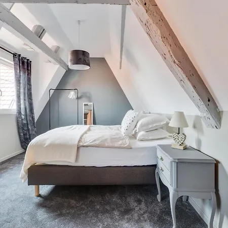 Apartment In Alsace Near Haut-koenigsbourg