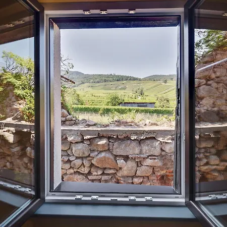 In Alsace Near Haut-koenigsbourg Apartment *